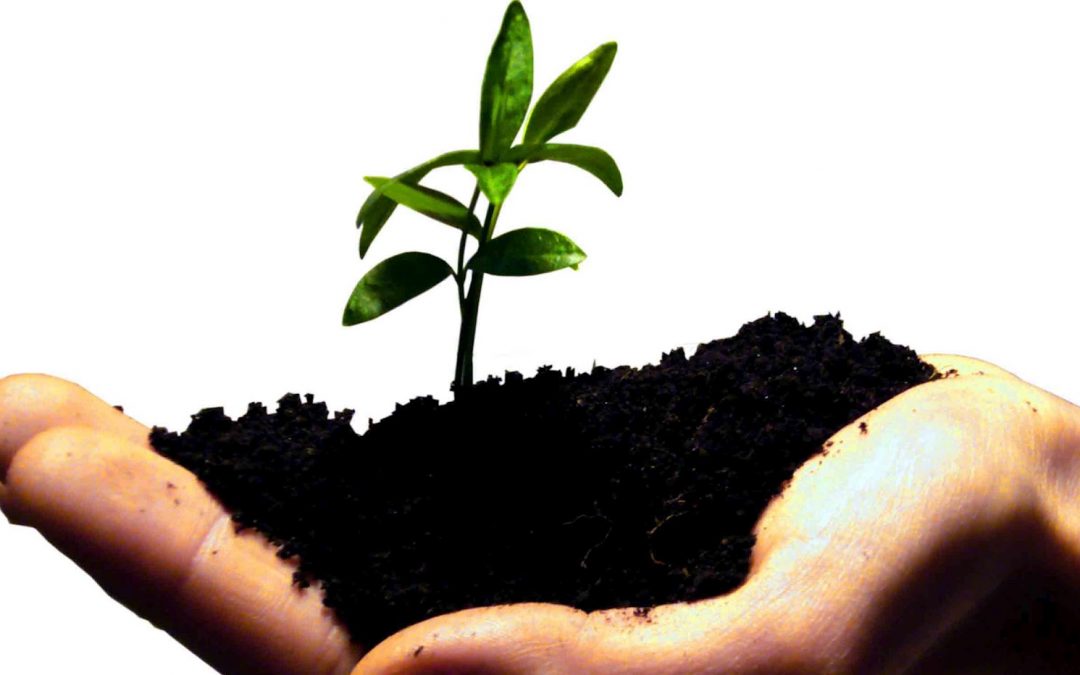 Calystene, un esprit start-up dans une société toujours plus innovante !